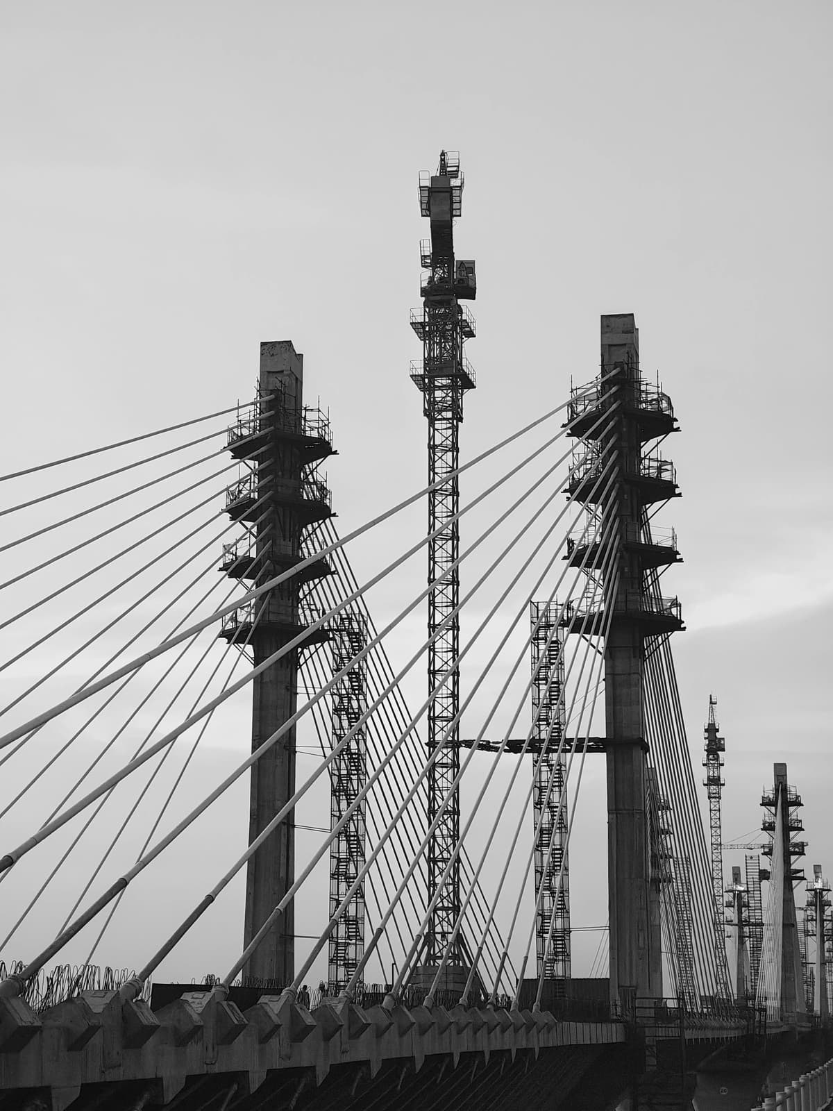 Engineering Showcase